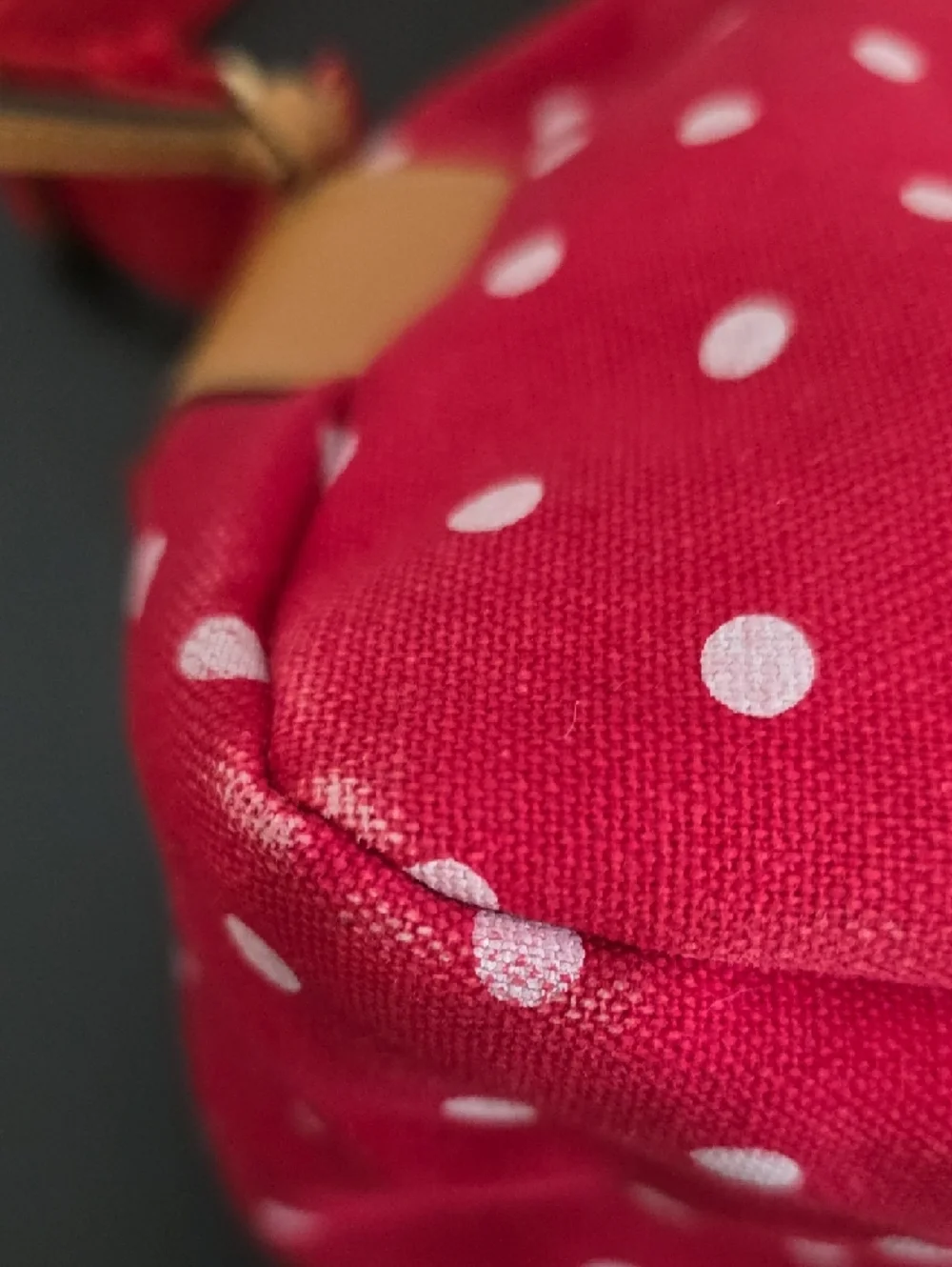 Capezio Polkadot Crossbody Bag